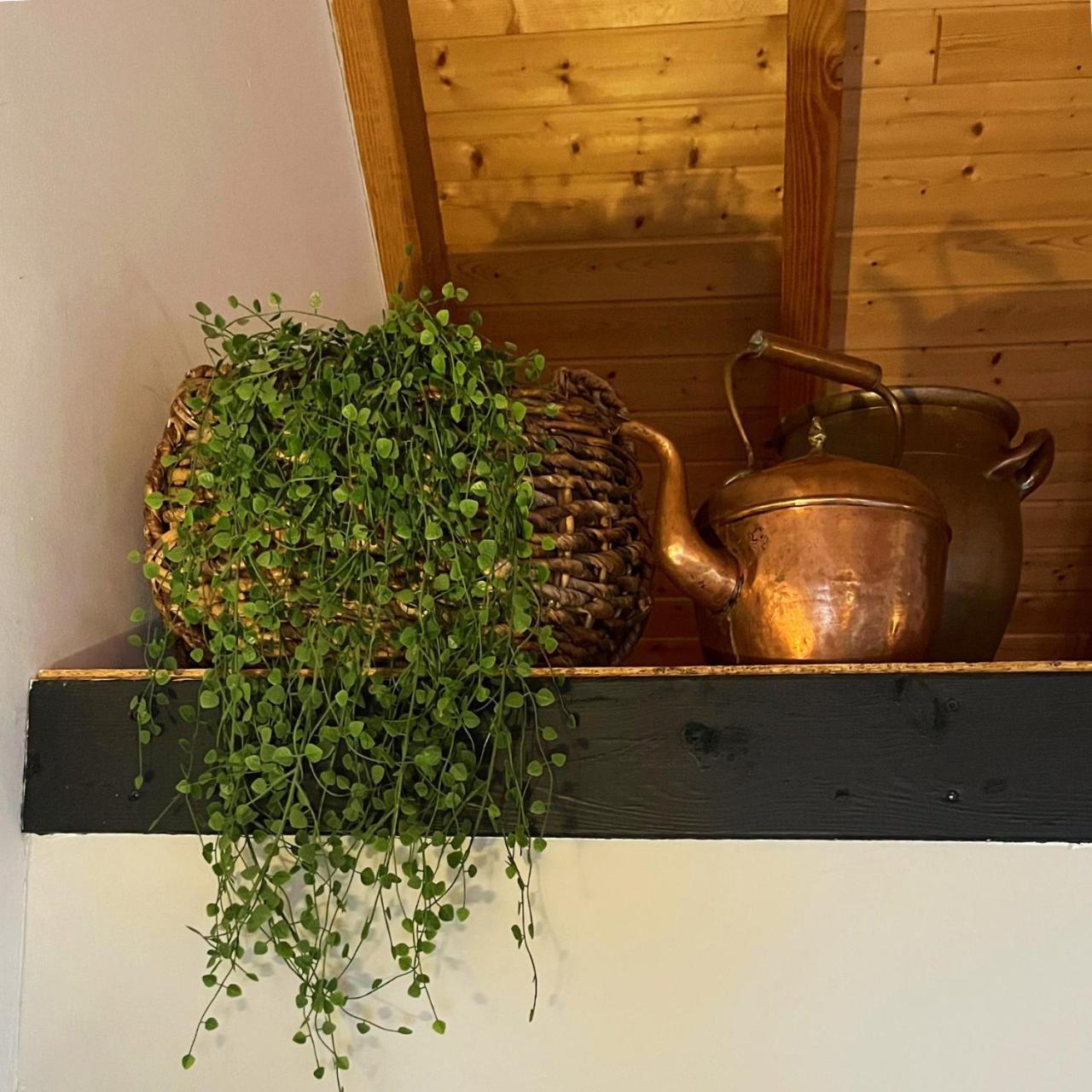 Aan De Hoge Weg Acomodação com café da manhã Kamperveen Exterior foto
